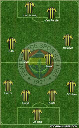 Fenerbahçe SK Formation 2015