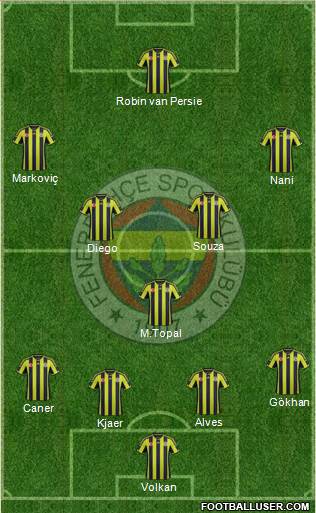 Fenerbahçe SK Formation 2015