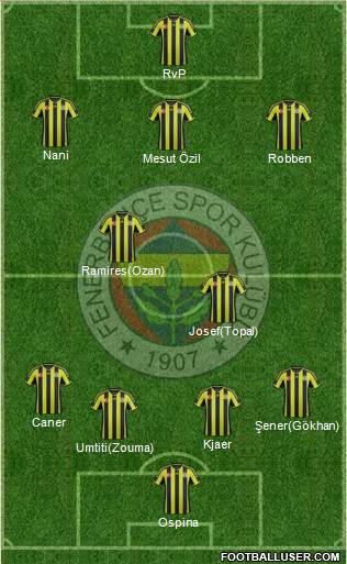 Fenerbahçe SK Formation 2015