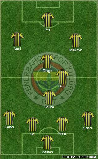 Fenerbahçe SK Formation 2015