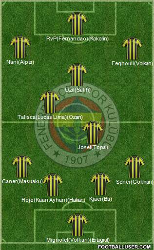 Fenerbahçe SK Formation 2015