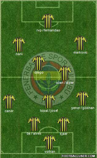 Fenerbahçe SK Formation 2015