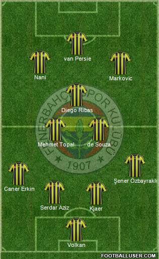 Fenerbahçe SK Formation 2015