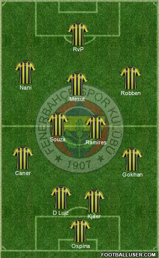 Fenerbahçe SK Formation 2015