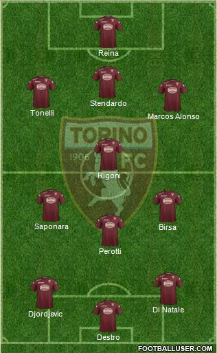 Torino Formation 2015