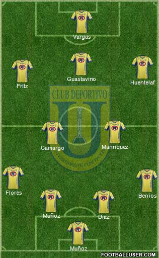 CCD Universidad de Concepción Formation 2015