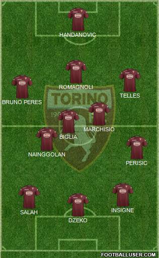 Torino Formation 2015