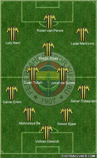Fenerbahçe SK Formation 2015