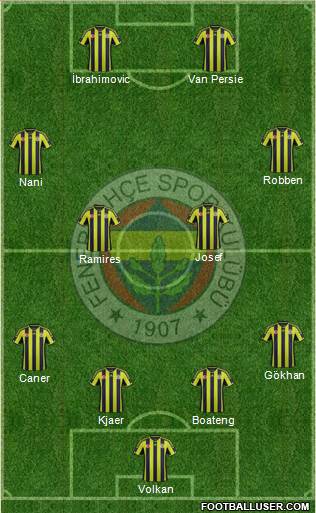 Fenerbahçe SK Formation 2015