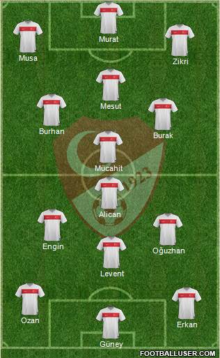 Turkey Formation 2015
