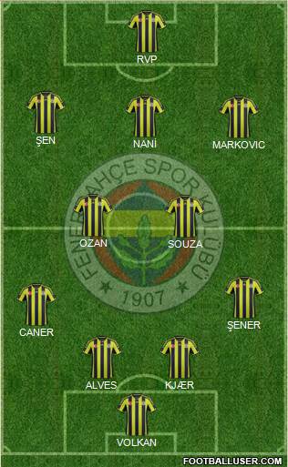 Fenerbahçe SK Formation 2015