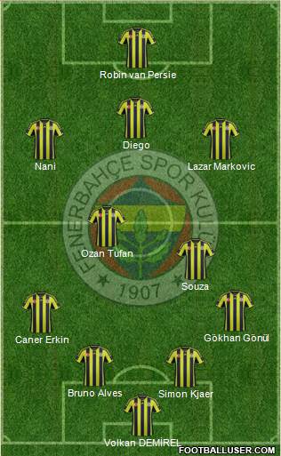 Fenerbahçe SK Formation 2015