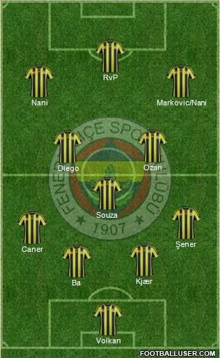 Fenerbahçe SK Formation 2015