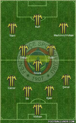 Fenerbahçe SK Formation 2015