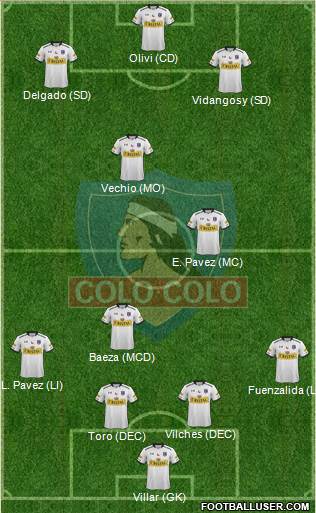 CSD Colo Colo Formation 2015