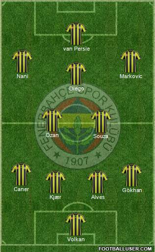 Fenerbahçe SK Formation 2015