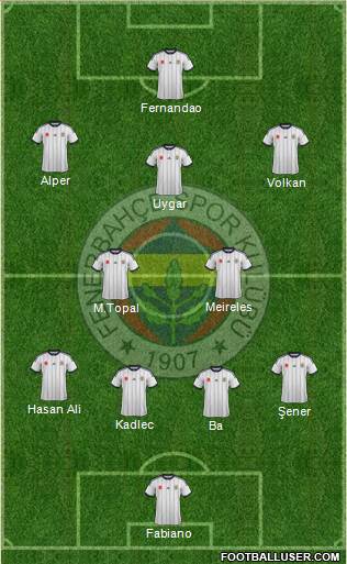 Fenerbahçe SK Formation 2015