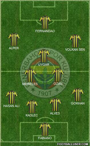 Fenerbahçe SK Formation 2015