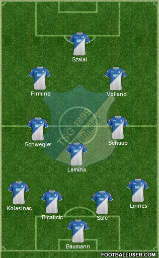 TSG 1899 Hoffenheim Formation 2015