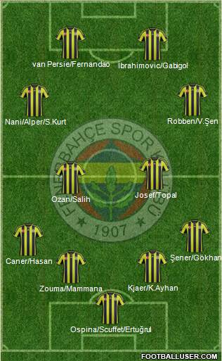 Fenerbahçe SK Formation 2015