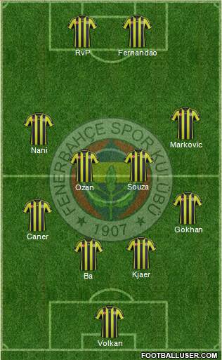 Fenerbahçe SK Formation 2015