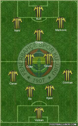 Fenerbahçe SK Formation 2015