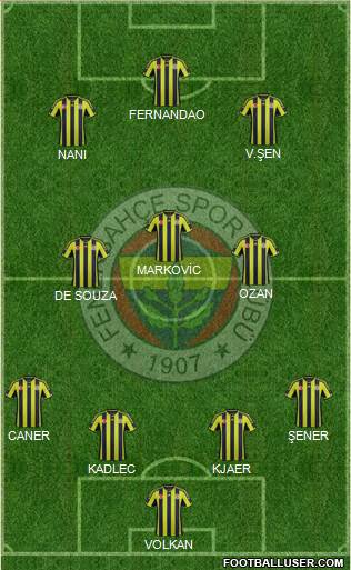Fenerbahçe SK Formation 2015