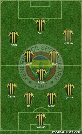 Fenerbahçe SK Formation 2015