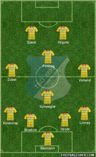 TSG 1899 Hoffenheim Formation 2015