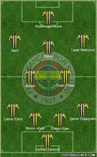 Fenerbahçe SK Formation 2015