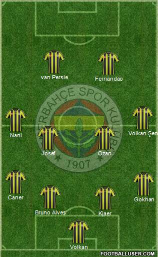 Fenerbahçe SK Formation 2015