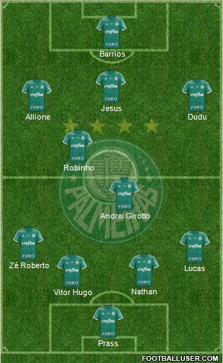 SE Palmeiras Formation 2015