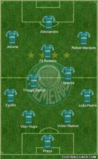 SE Palmeiras Formation 2015
