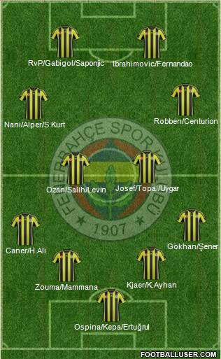 Fenerbahçe SK Formation 2015