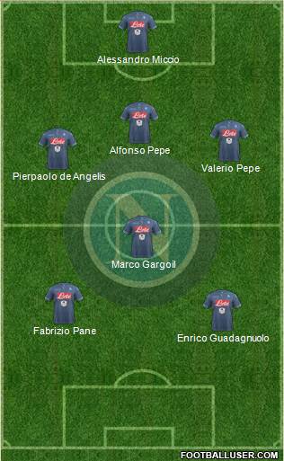 Napoli Formation 2015