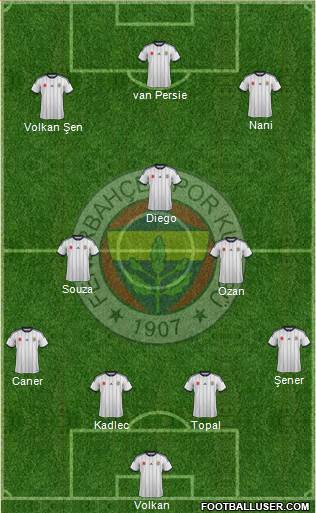 Fenerbahçe SK Formation 2015