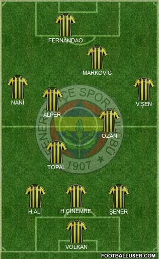 Fenerbahçe SK Formation 2015