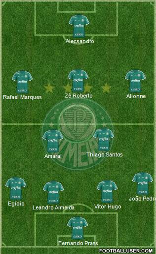 SE Palmeiras Formation 2015