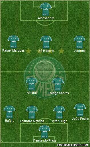 SE Palmeiras Formation 2015
