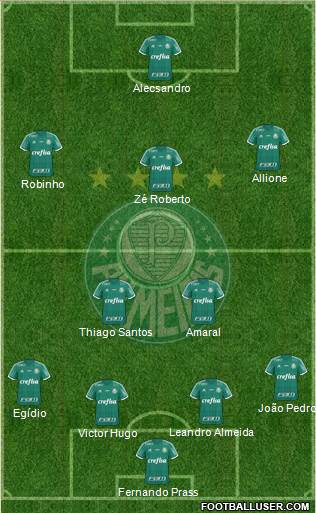 SE Palmeiras Formation 2015