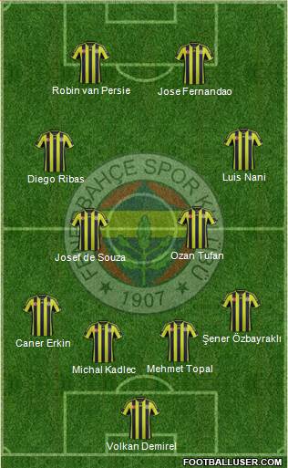 Fenerbahçe SK Formation 2015