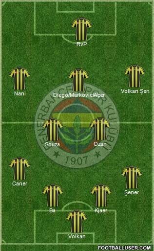 Fenerbahçe SK Formation 2015