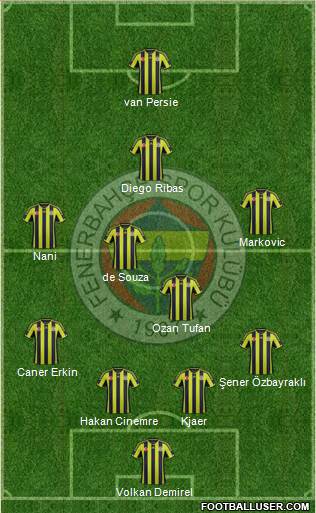 Fenerbahçe SK Formation 2015