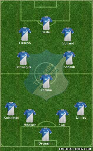 TSG 1899 Hoffenheim Formation 2015