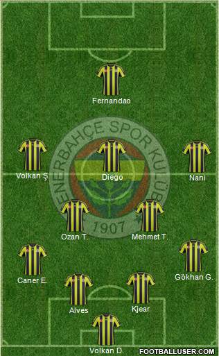 Fenerbahçe SK Formation 2015