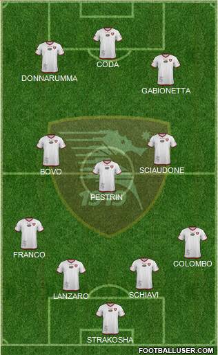 Salernitana Formation 2015