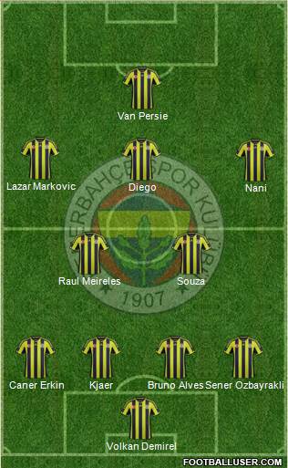 Fenerbahçe SK Formation 2015