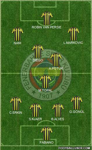Fenerbahçe SK Formation 2015