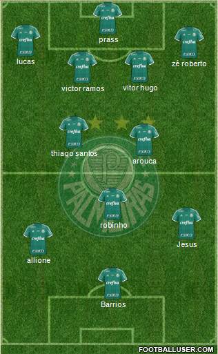 SE Palmeiras Formation 2015