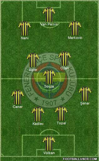 Fenerbahçe SK Formation 2015